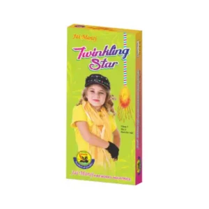 4 ft Twinkling Star