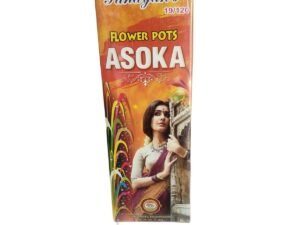 FLOWER POT ASHOKA