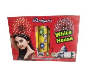 WHITE HOUSE (5 PCS CRACKLING)